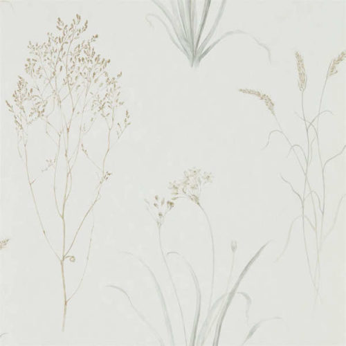 Farne Grasses 216487